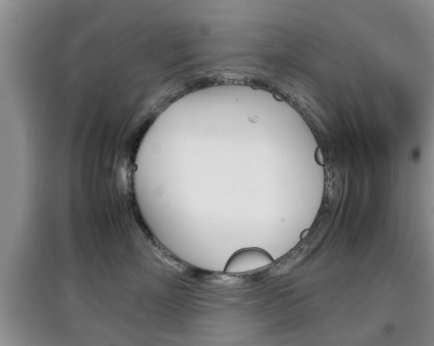 X0000097900718200803141006