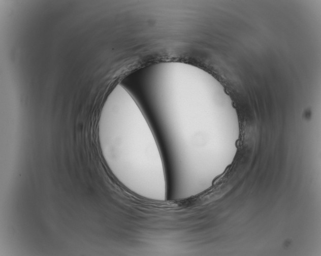 X0000097900719200803141006