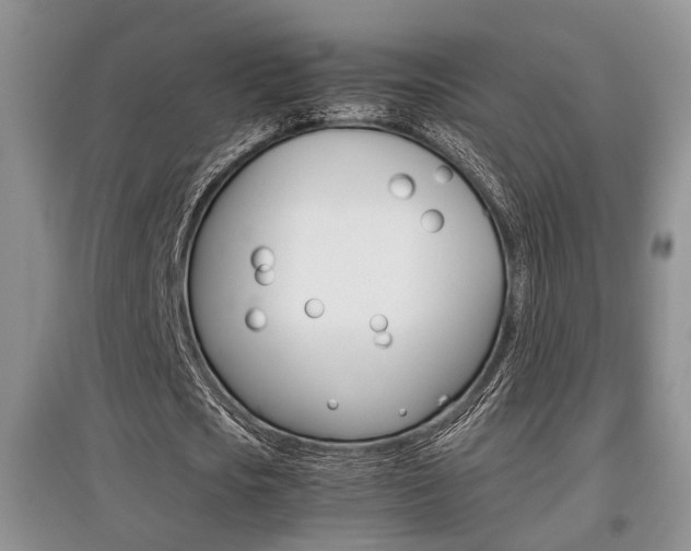 X0000097900721200803141005