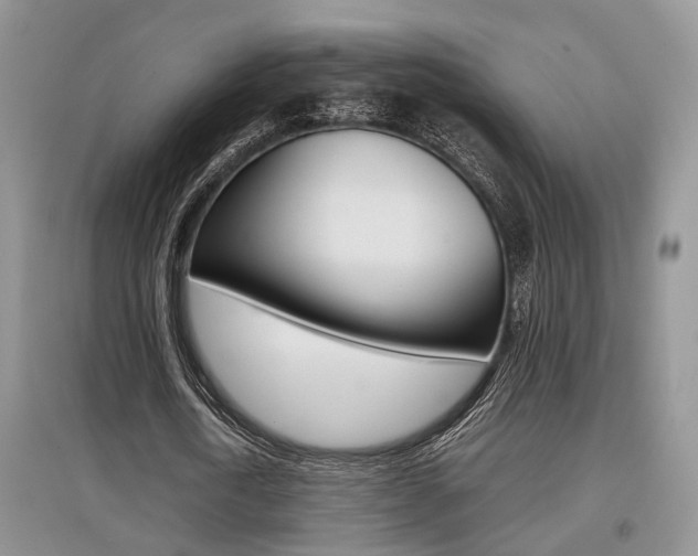 X0000097900722200803141005
