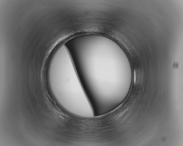 X0000097900723200803141005