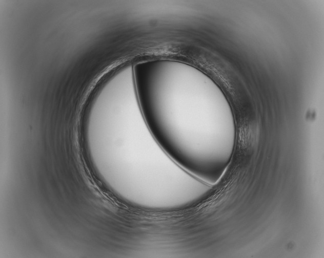 X0000097900724200803141005