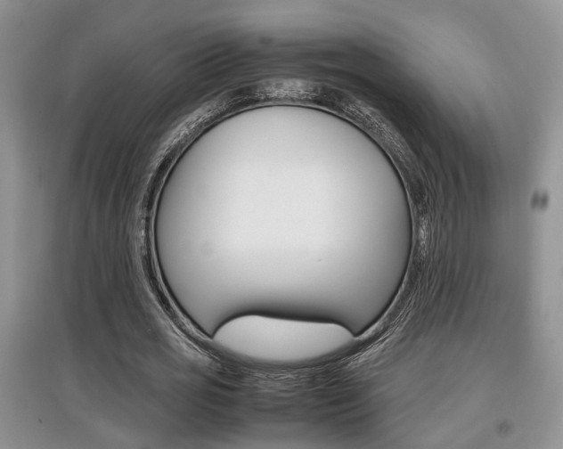 X0000097900725200803141005