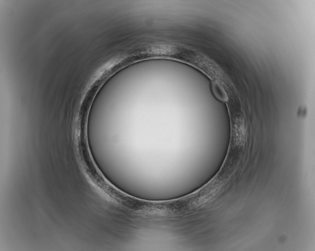 X0000097900726200803141005