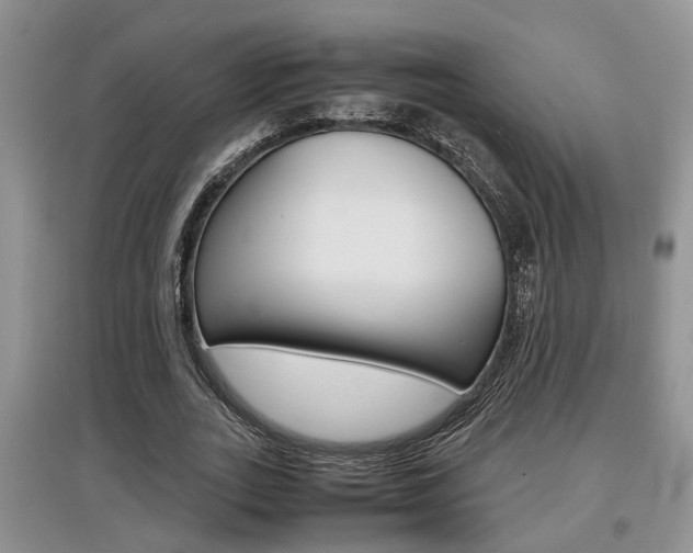 X0000097900727200803141005