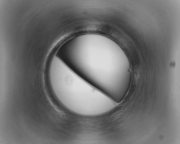 X0000097900728200803141005