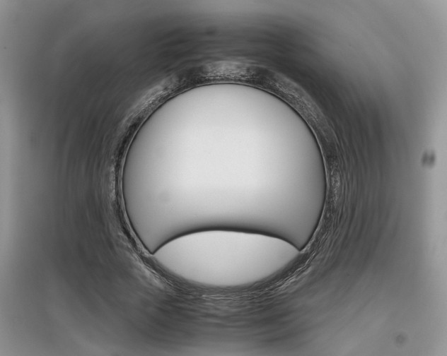 X0000097900729200803141005