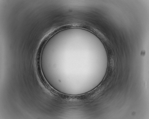 X0000097900730200803141005