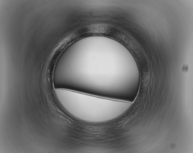X0000097900731200803141005
