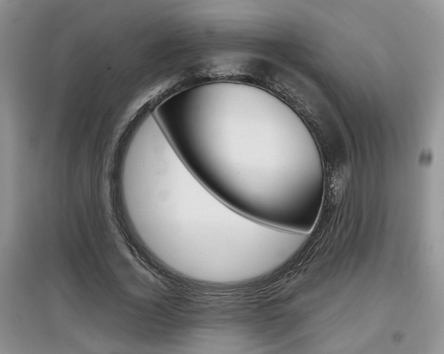 X0000097900732200803141005