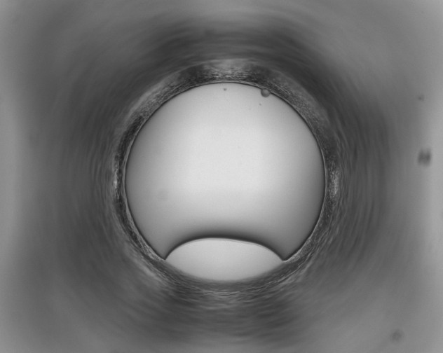 X0000097900733200803141005