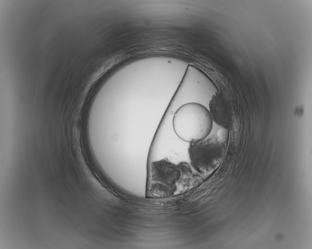 X0000097900734200803141005