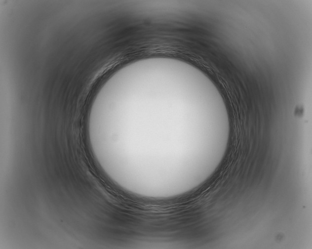 X0000097900735200803141006