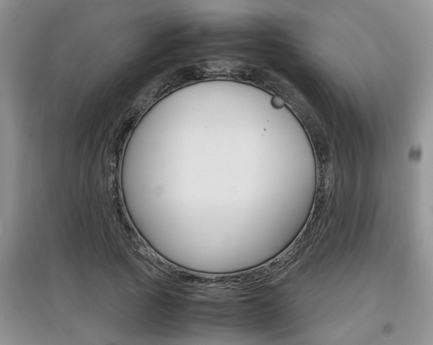 X0000097900737200803141006