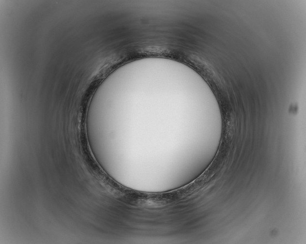 X0000097900739200803141006