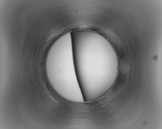 X0000097900740200803141006