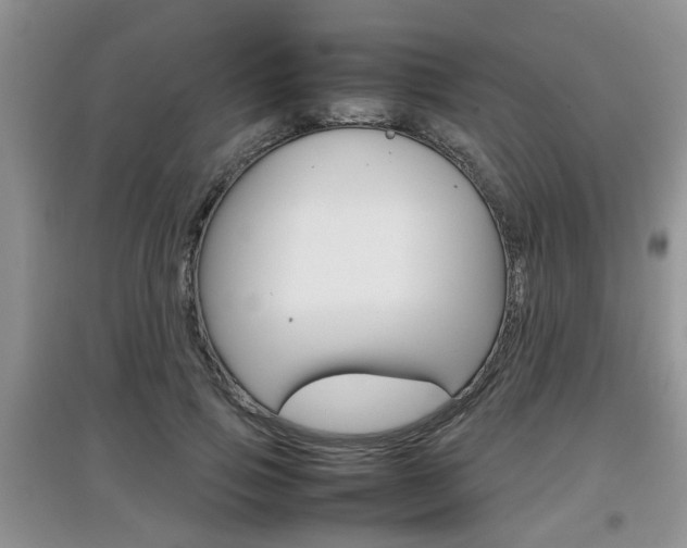 X0000097900741200803141006