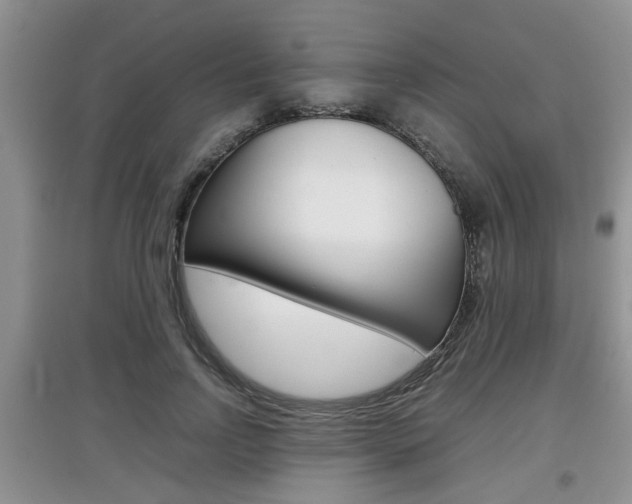 X0000097900742200803141006
