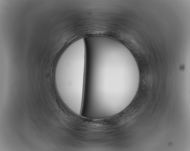 X0000097900743200803141006