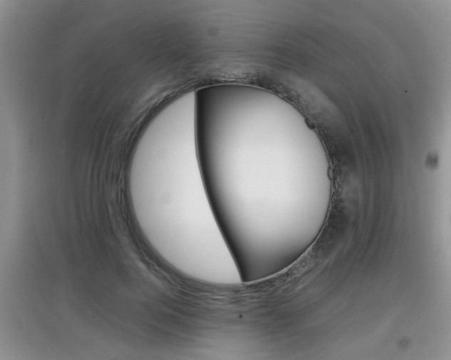 X0000097900744200803141006