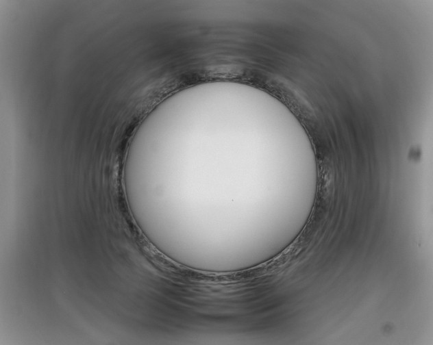 X0000097900745200803141006