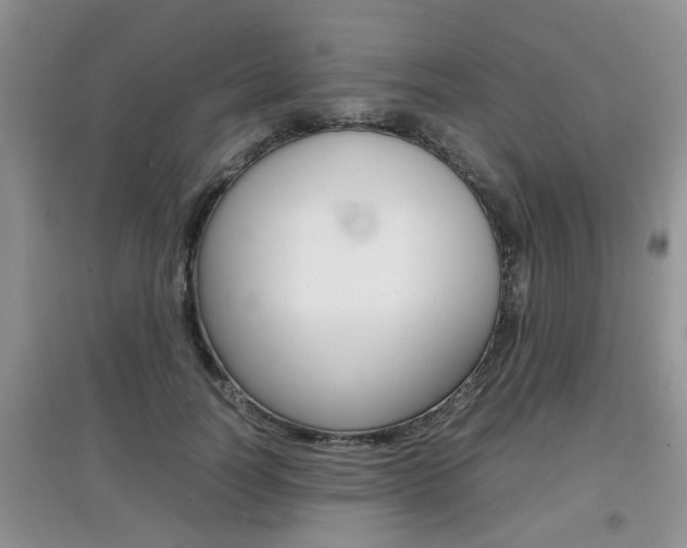 X0000097900746200803141006
