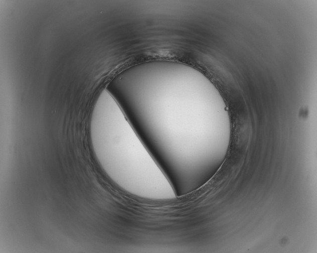 X0000097900747200803141006