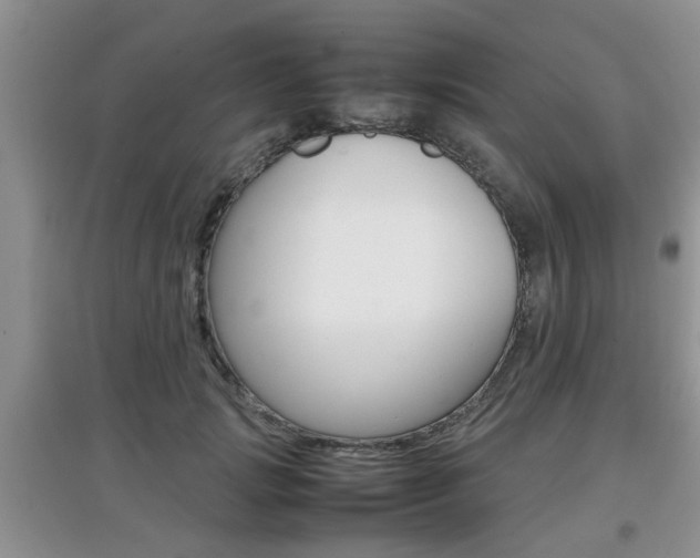 X0000097900749200803141006