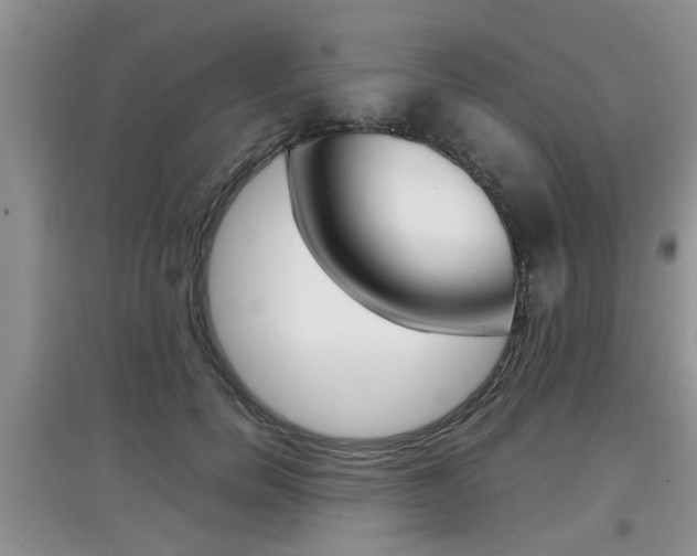 X0000097900750200803141006