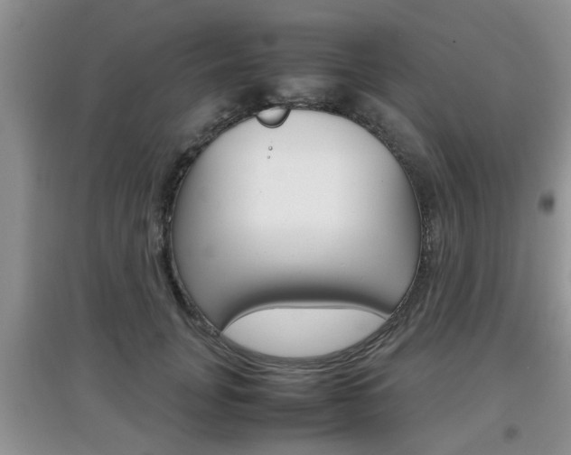 X0000097900751200803141006