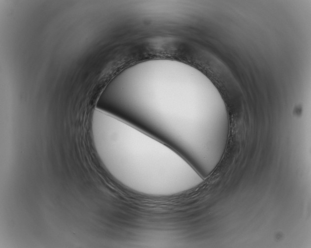 X0000097900752200803141006