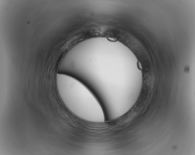 X0000097900754200803141006