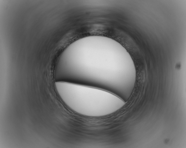 X0000097900755200803141006