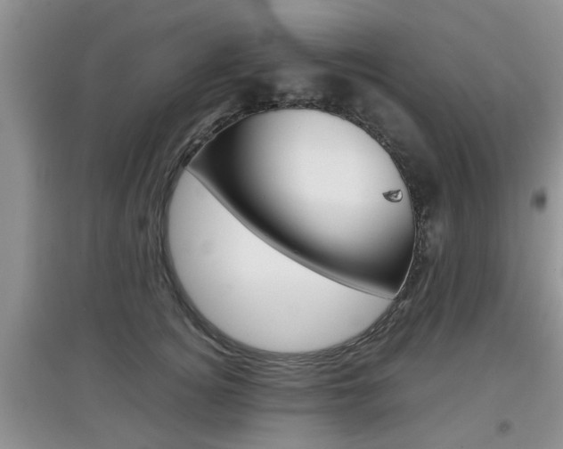 X0000097900756200803141006