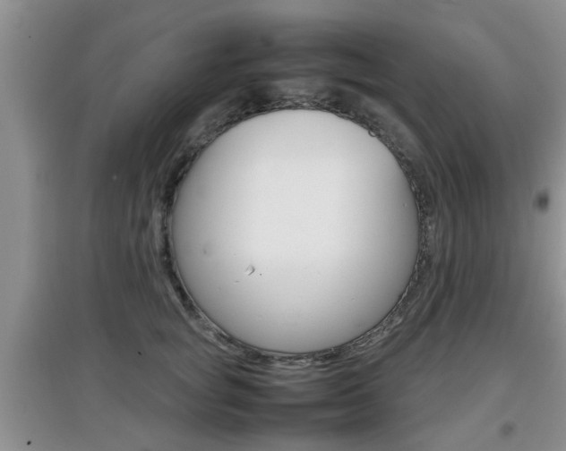 X0000097900757200803141006