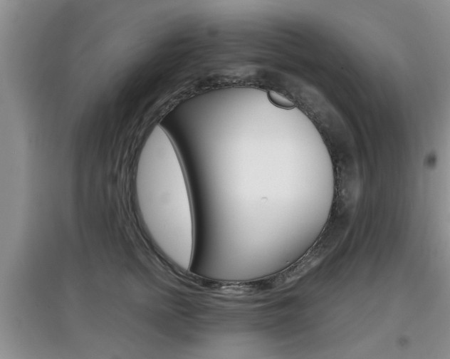 X0000097900758200803141006