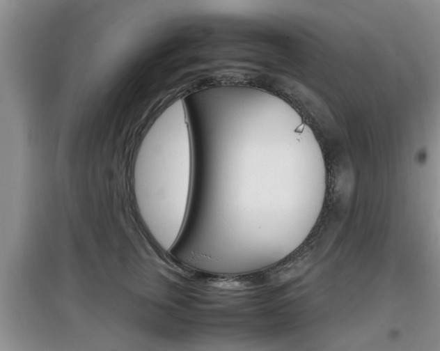 X0000097900759200803141006