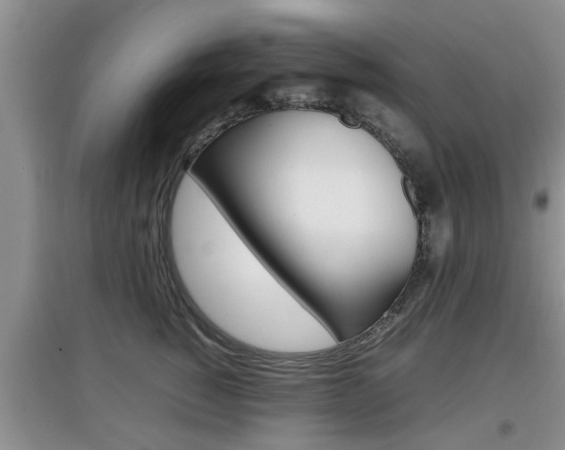 X0000097900760200803141006