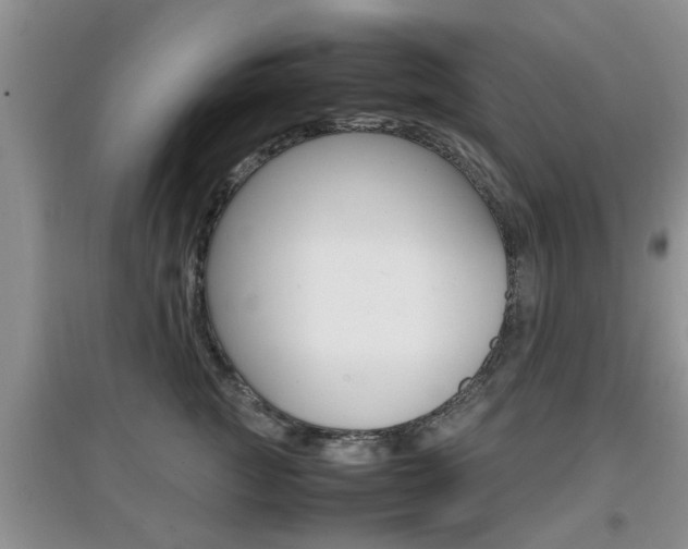 X0000097900761200803141006