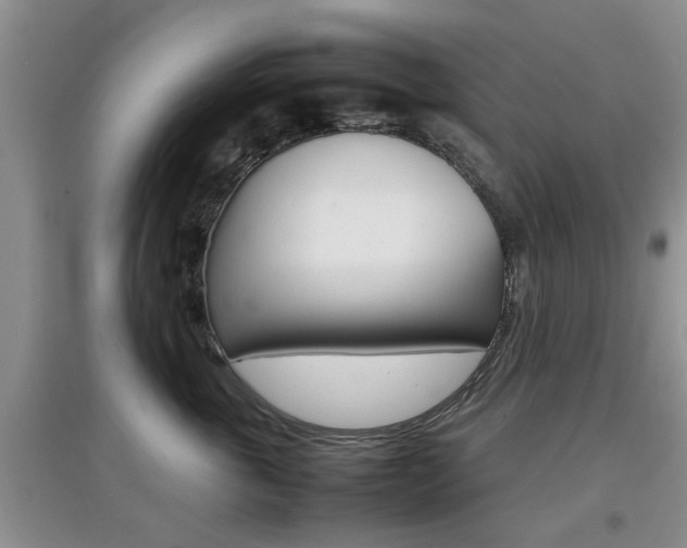 X0000097900763200803141006