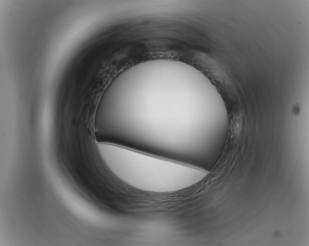 X0000097900764200803141006