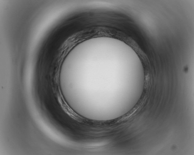 X0000097900765200803141006