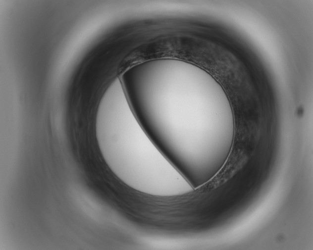X0000097900766200803141006
