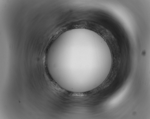 X0000097900767200803141006