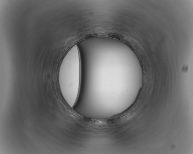 X0000097900768200803141006