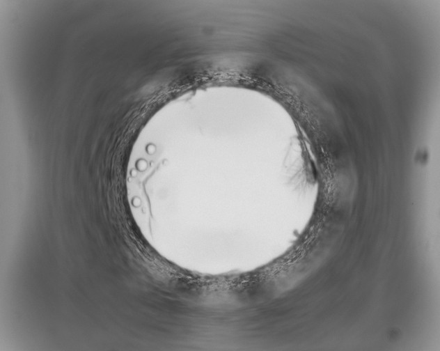 X0000097900769200803141005