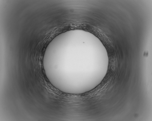 X0000097900770200803141005