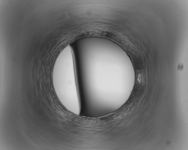 X0000097900771200803141005