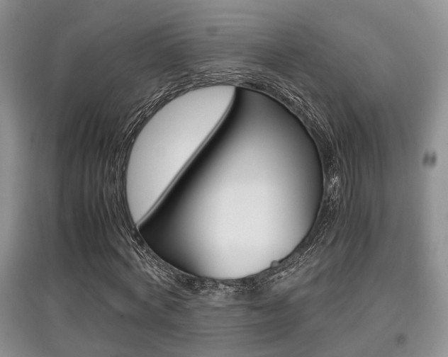 X0000097900772200803141005