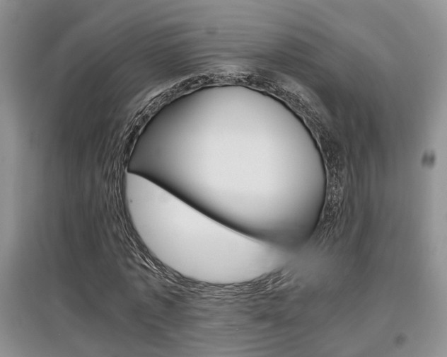 X0000097900773200803141005